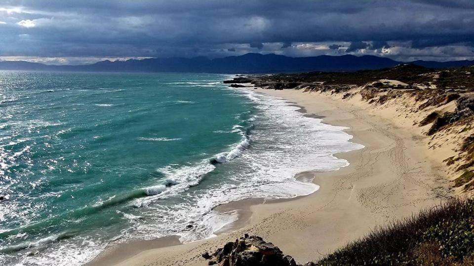 65Oncliff Ξενοδοχείο Gansbaai Εξωτερικό φωτογραφία