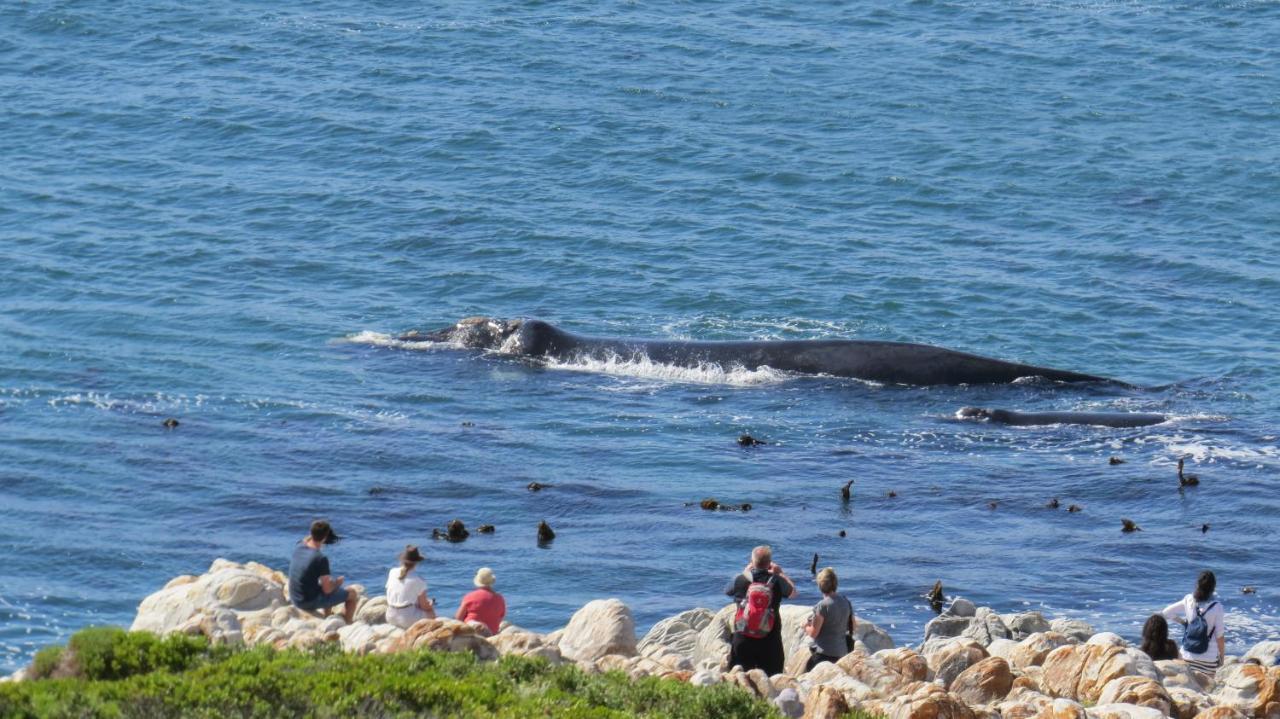 65Oncliff Ξενοδοχείο Gansbaai Εξωτερικό φωτογραφία